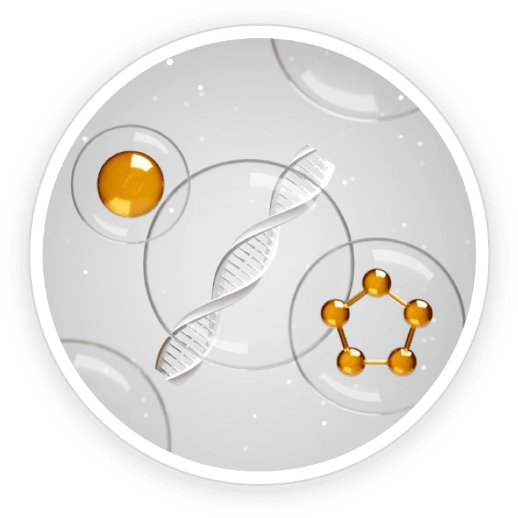 Biogenic Polyamines - DigestSync Ingredient